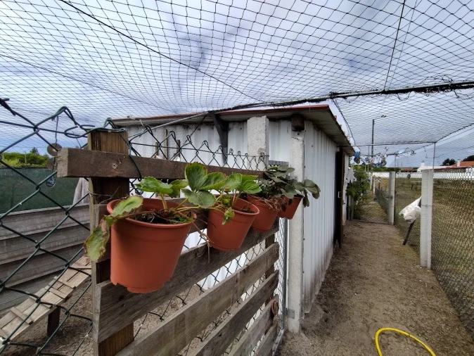 Moradia T2 para Venda em Vieira de Leiria Foto 33