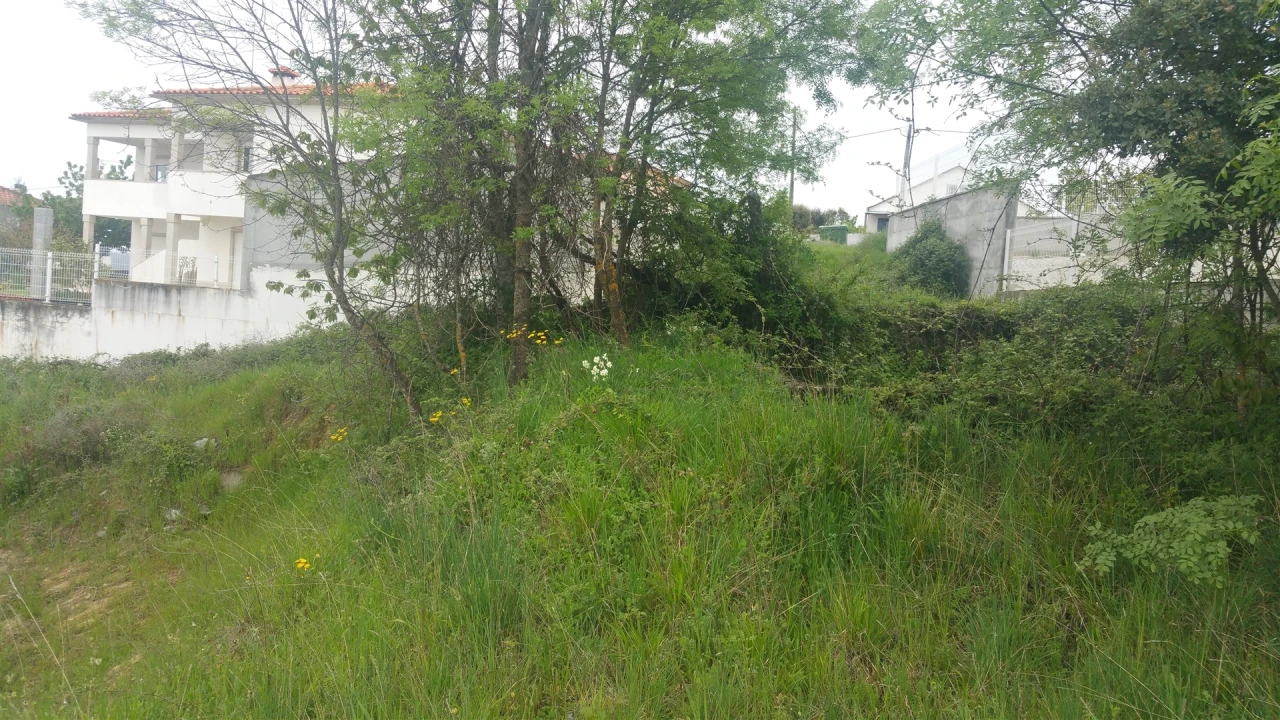 Terreno para Venda em São Pedro de Serracenos Foto 2