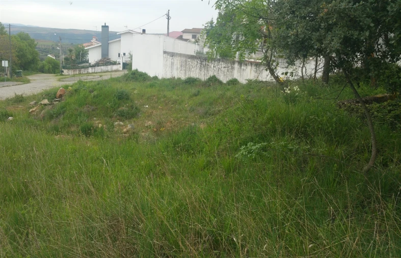 Terreno para Venda em São Pedro de Serracenos Foto 3