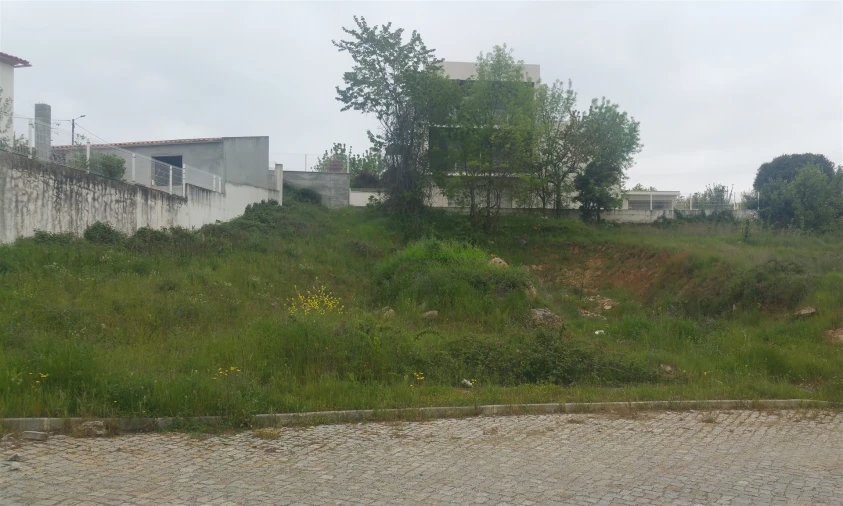 Terreno para Venda em São Pedro de Serracenos