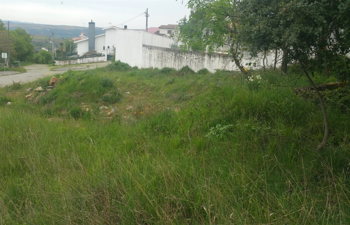 Terreno para Venda em São Pedro de Serracenos Foto 3