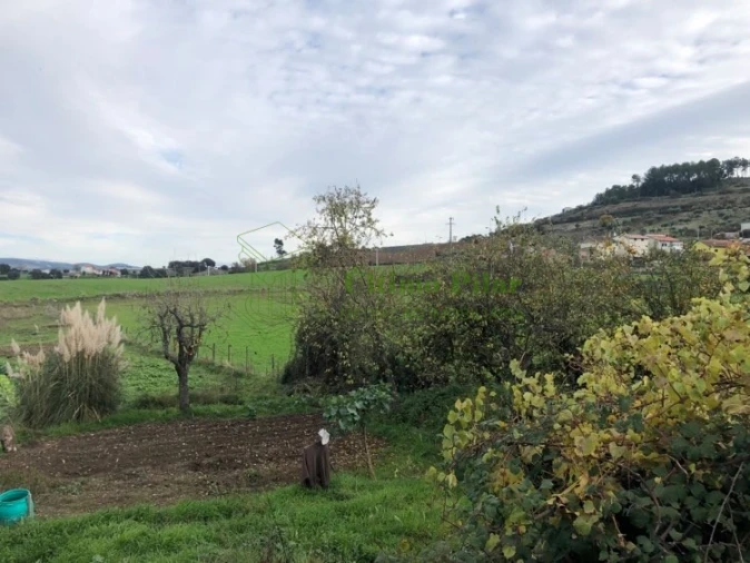 Terreno para Venda em Sé, Santa Maria e Meixedo Foto 5
