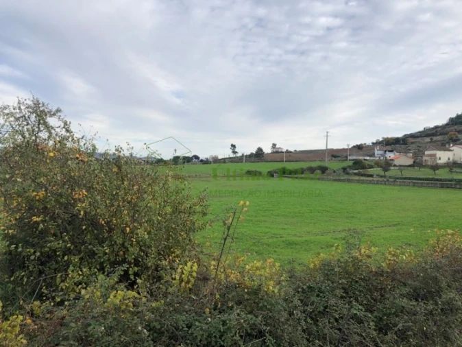 Terreno para Venda em Sé, Santa Maria e Meixedo Foto 3