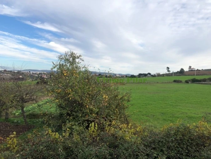 Terreno para Venda em Sé, Santa Maria e Meixedo Foto 2
