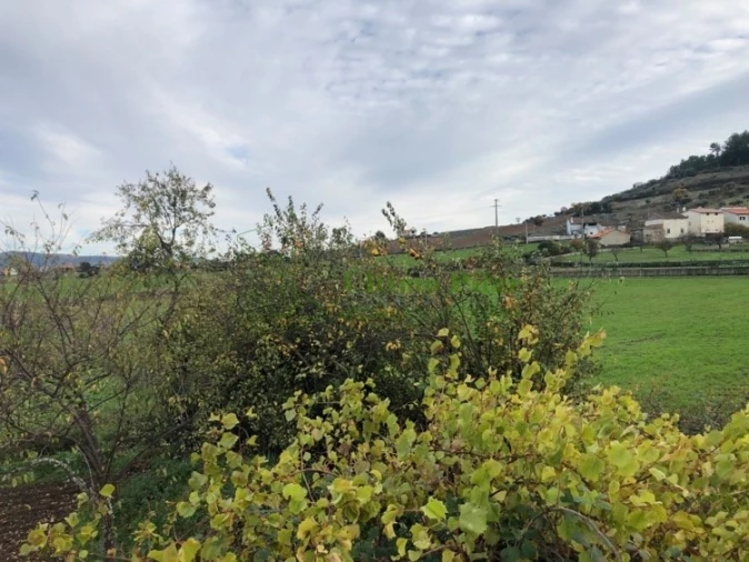 Terreno para Venda em Sé, Santa Maria e Meixedo Foto 6