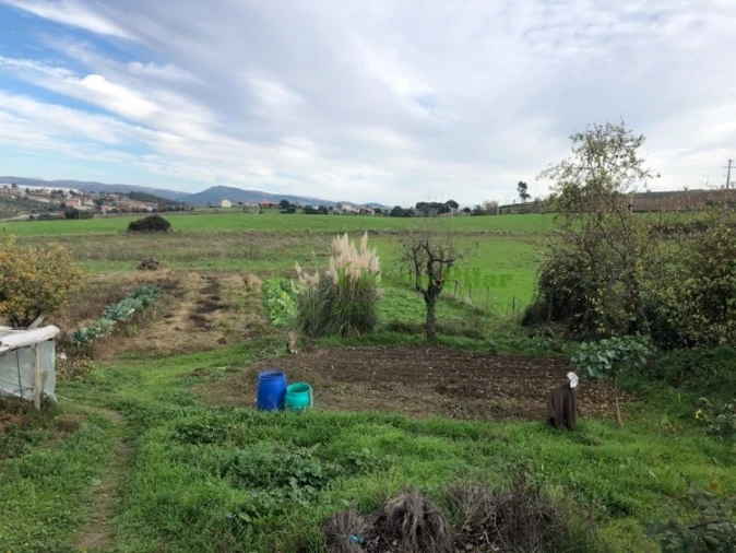 Terreno para Venda em Sé, Santa Maria e Meixedo Foto 8