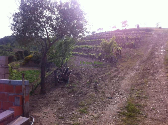 Quinta T0 para Venda em Rabal Foto 2