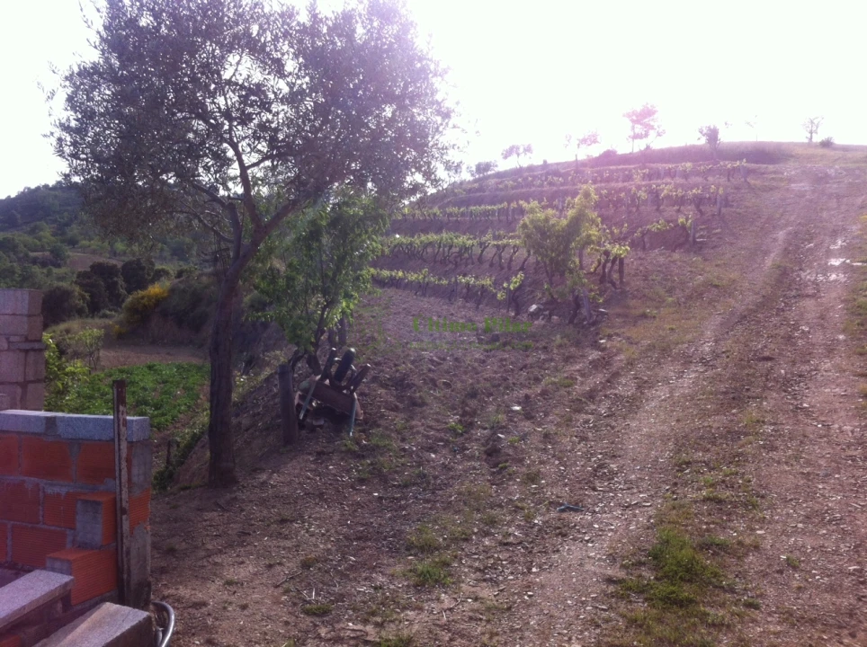 Quinta T0 para Venda em Rabal Foto 2