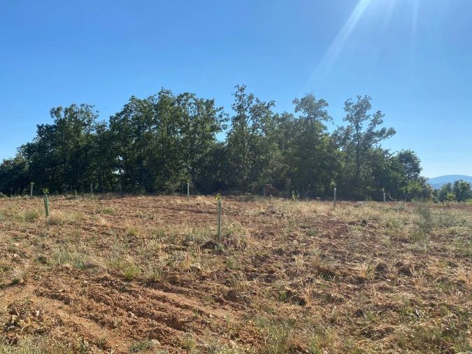 Terreno para Venda em Rio Frio e Milhão Foto 6