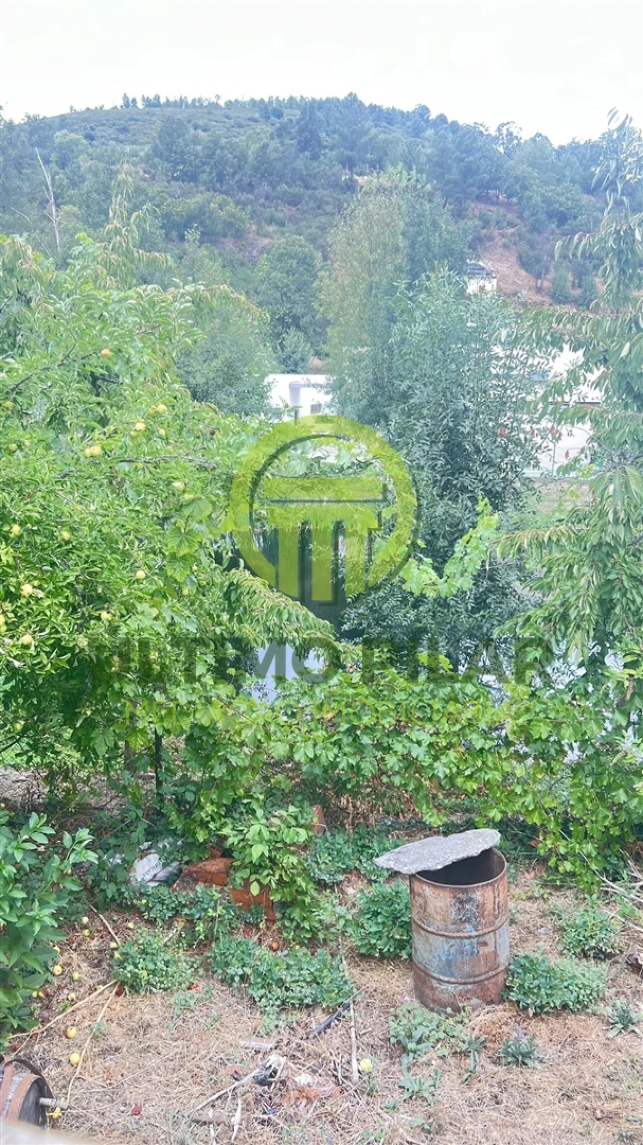 Moradia T4 para Venda em França Foto 12