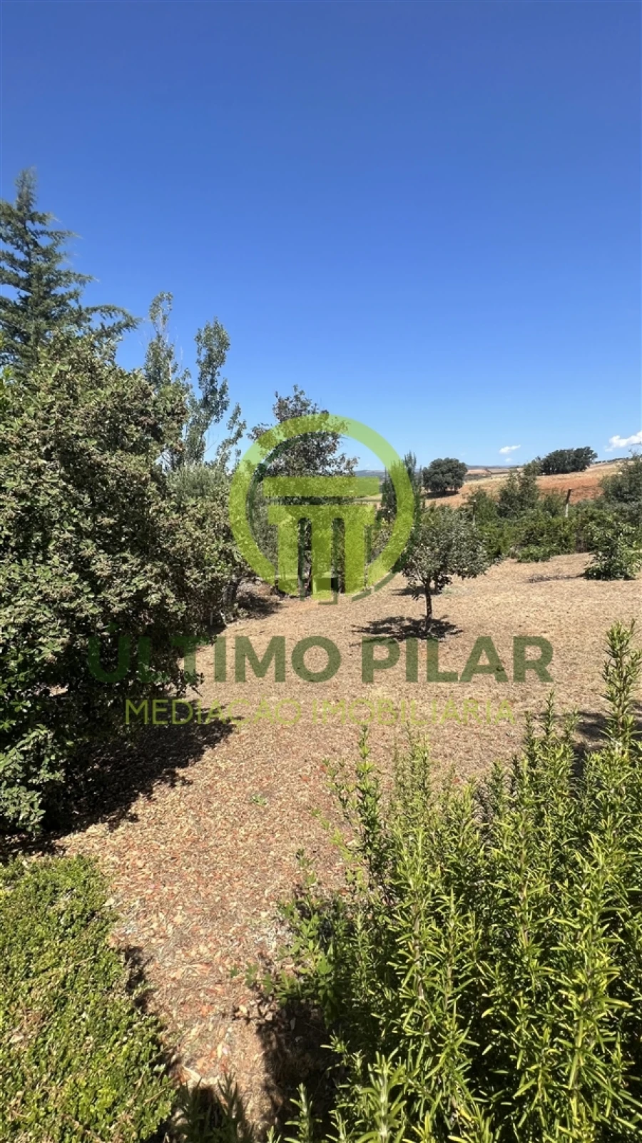 Moradia T5 para Venda em Sé, Santa Maria e Meixedo Foto 18