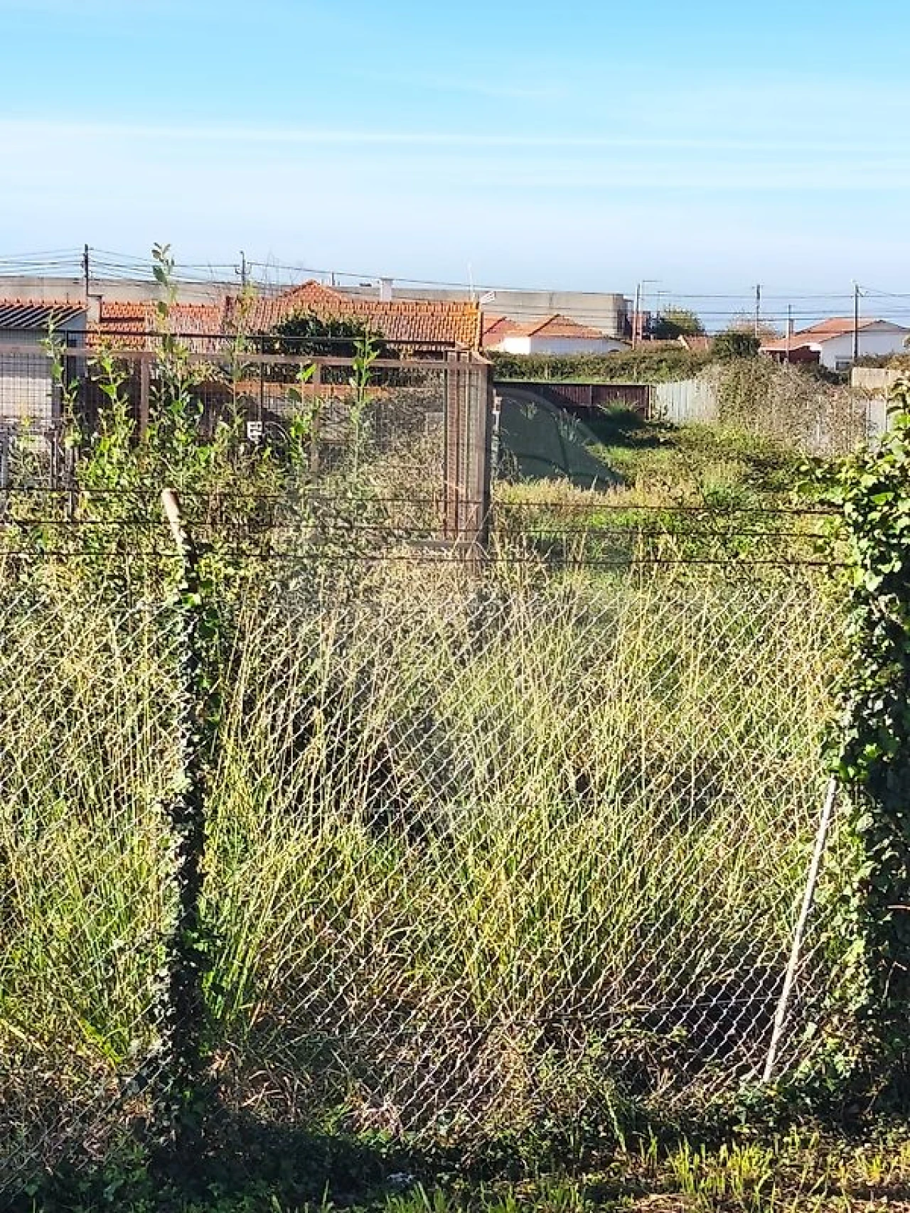Terreno para Venda em Silvalde Foto 8