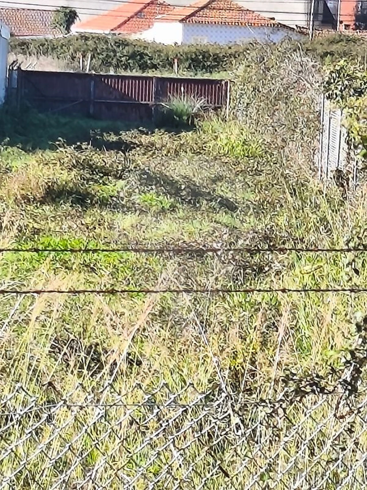 Terreno para Venda em Silvalde Foto 5