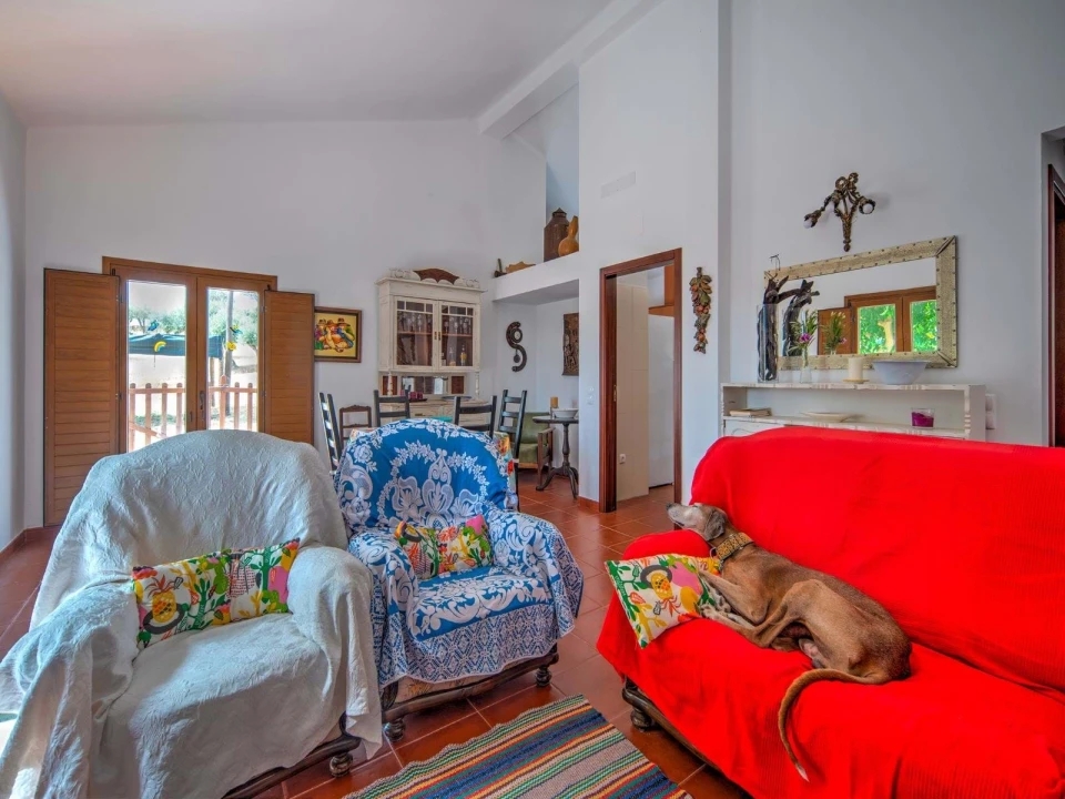 Moradia T3 para Venda em Nossa Senhora da Conceição, São Brás dos Matos, Juromenha Foto 5