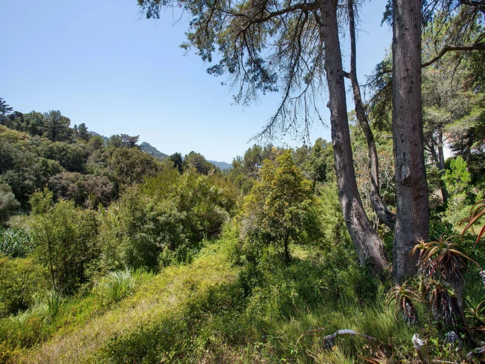 Quinta para Venda em Agualva e Mira-Sintra Foto 21