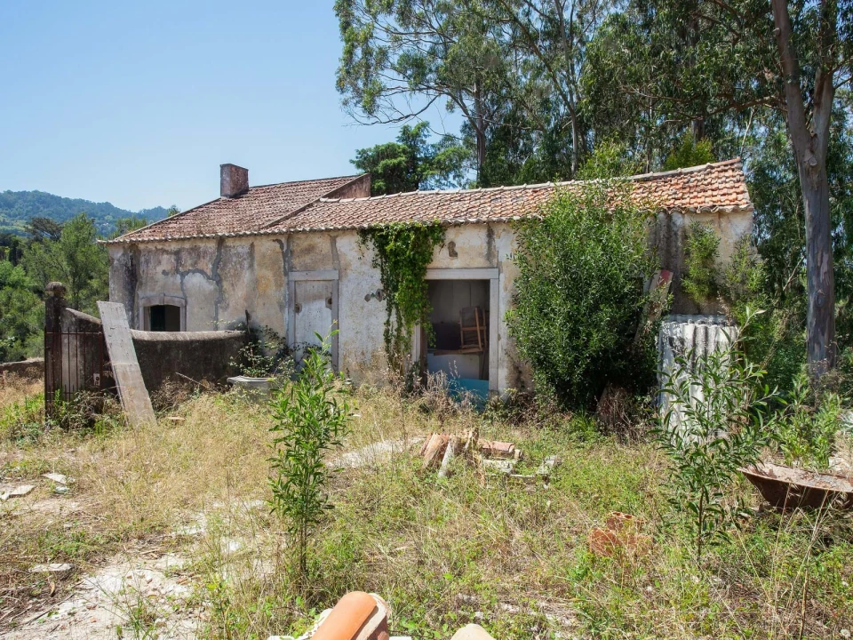 Quinta para Venda em Agualva e Mira-Sintra Foto 8