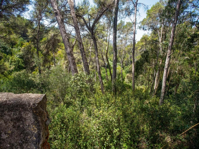 Quinta para Venda em Agualva e Mira-Sintra Foto 24