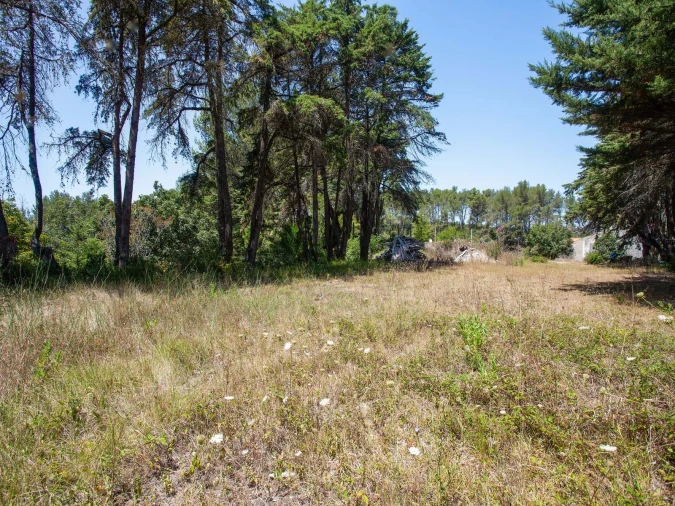 Quinta para Venda em Agualva e Mira-Sintra Foto 23