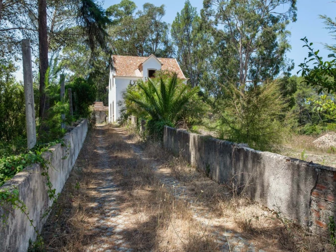 Quinta para Venda em Agualva e Mira-Sintra Foto 13