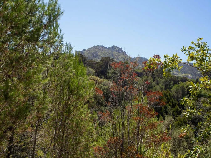 Quinta para Venda em Agualva e Mira-Sintra Foto 20