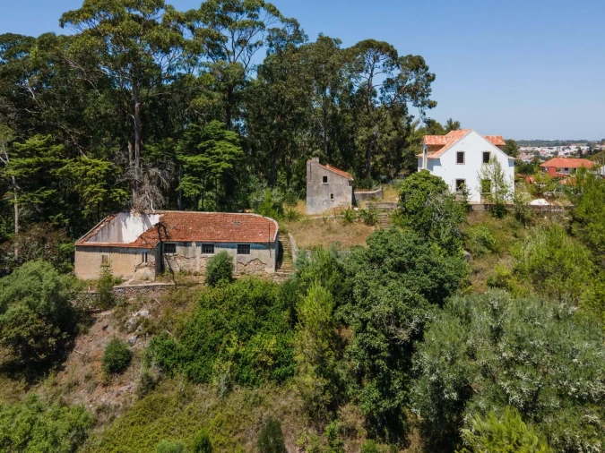 Quinta para Venda em Agualva e Mira-Sintra Foto 16