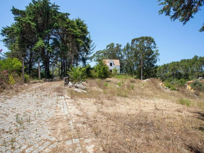 Quinta para Venda em Agualva e Mira-Sintra Foto 15