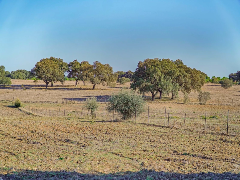 Quinta T2 para Venda em São Cristovão Foto 32