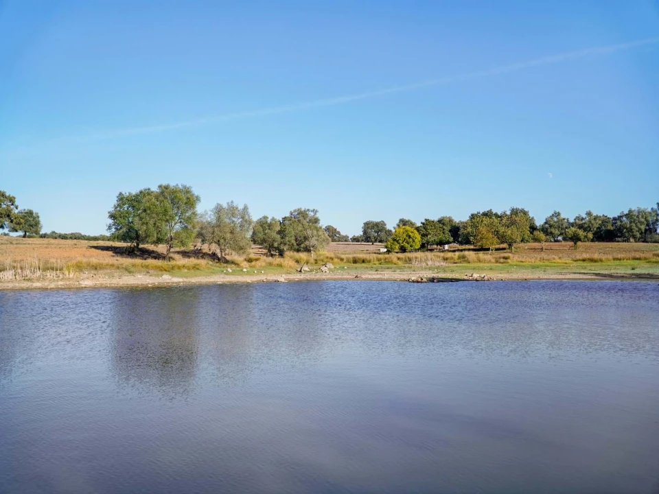 Quinta T2 para Venda em São Cristovão Foto 28