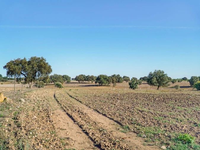Quinta T2 para Venda em São Cristovão Foto 30