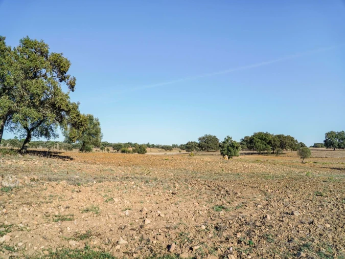 Quinta T2 para Venda em São Cristovão Foto 33