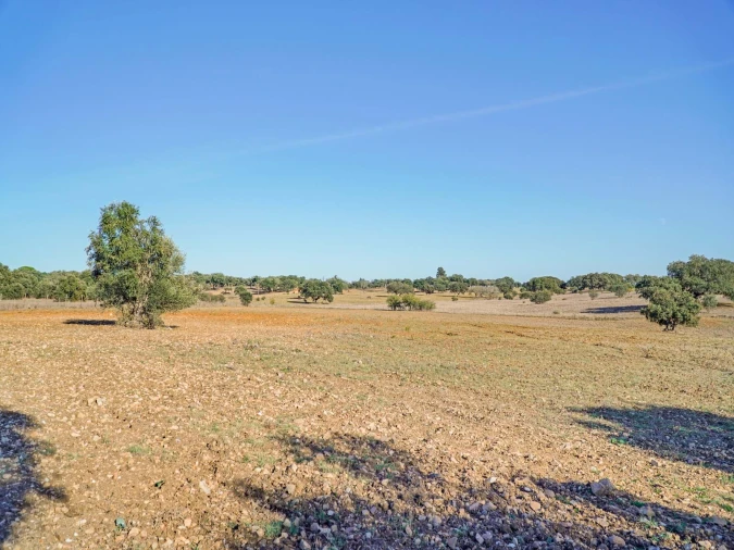 Quinta T2 para Venda em São Cristovão Foto 31