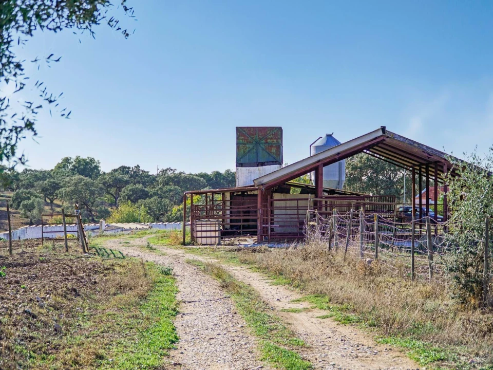 Quinta T2 para Venda em São Cristovão Foto 19