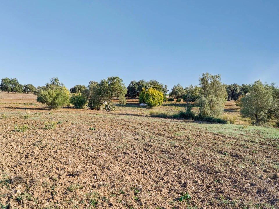 Quinta T2 para Venda em São Cristovão Foto 34