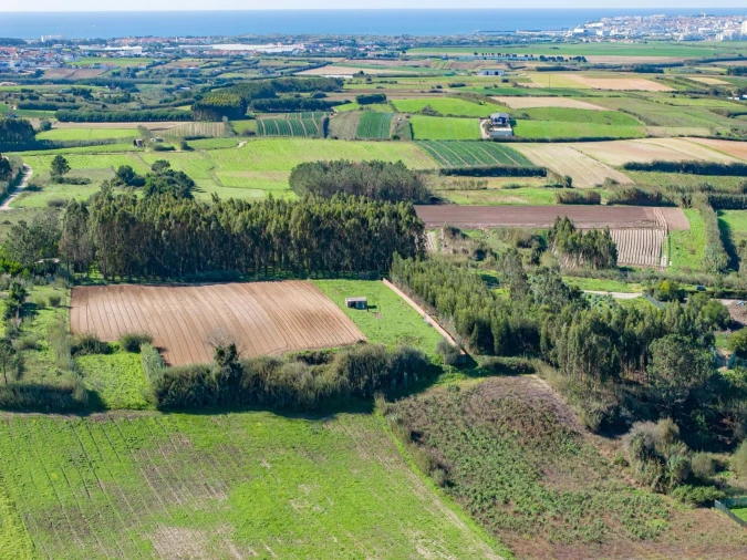 Negócio para Venda em Atouguia da Baleia Foto 30
