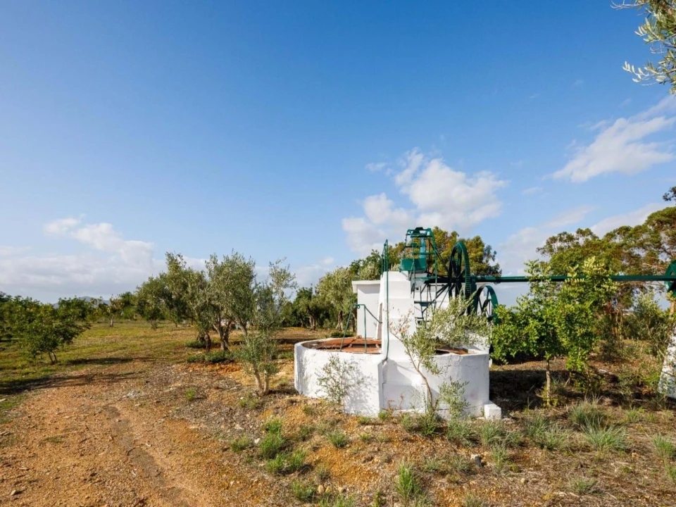 Quinta T4 para Venda em Olhão Foto 61
