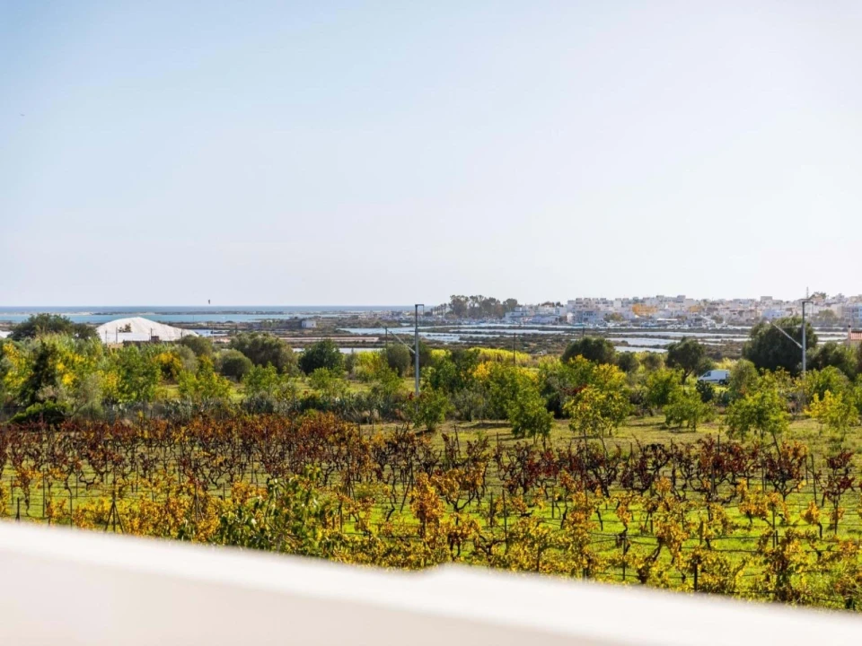 Quinta T4 para Venda em Olhão Foto 3