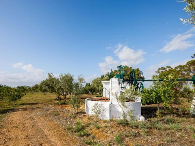 Quinta T4 para Venda em Olhão Foto 61