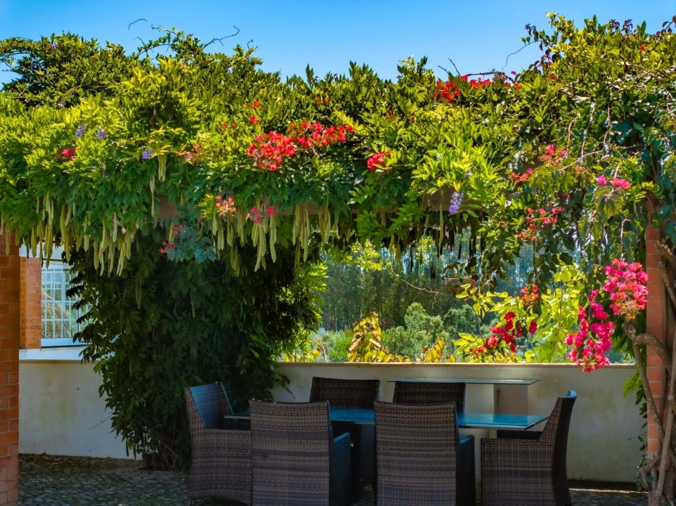 Quinta T10 para Venda em Santa Catarina Foto 14