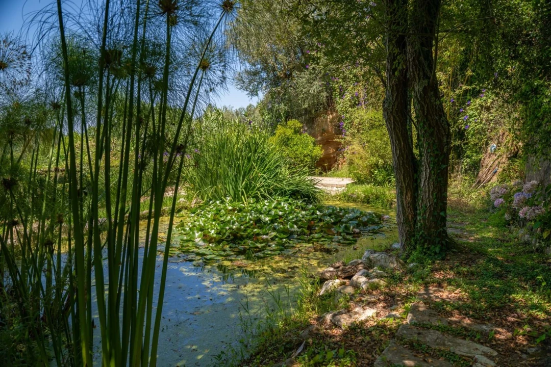 Quinta T10 para Venda em Santa Catarina Foto 44