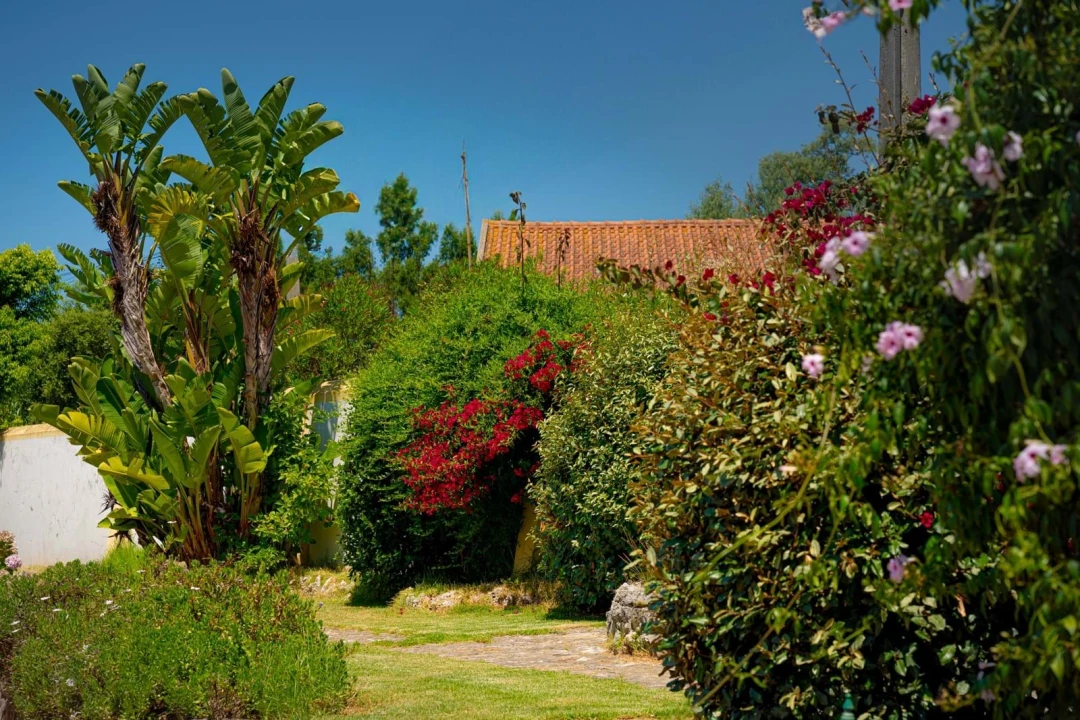 Quinta T10 para Venda em Santa Catarina Foto 23