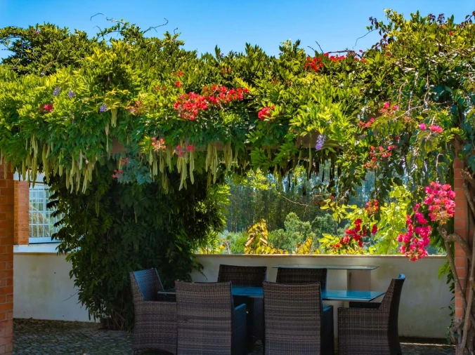 Quinta T10 para Venda em Santa Catarina Foto 14