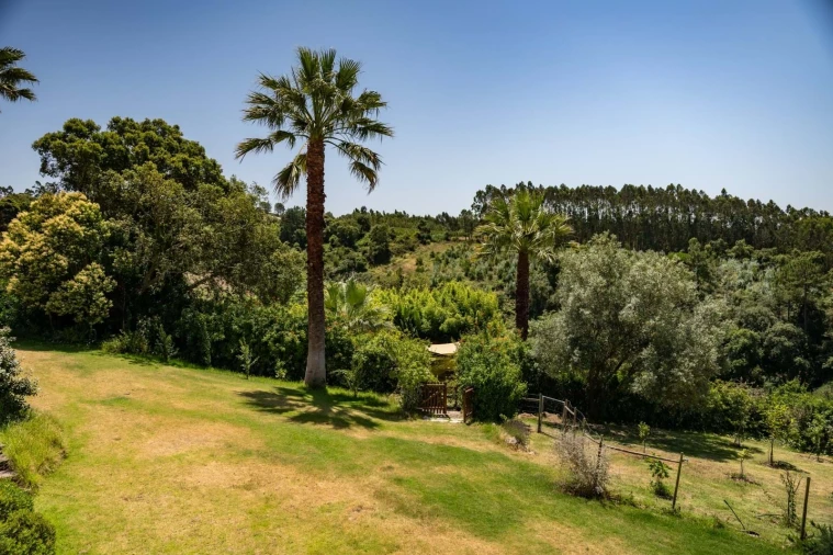 Quinta T10 para Venda em Santa Catarina Foto 12