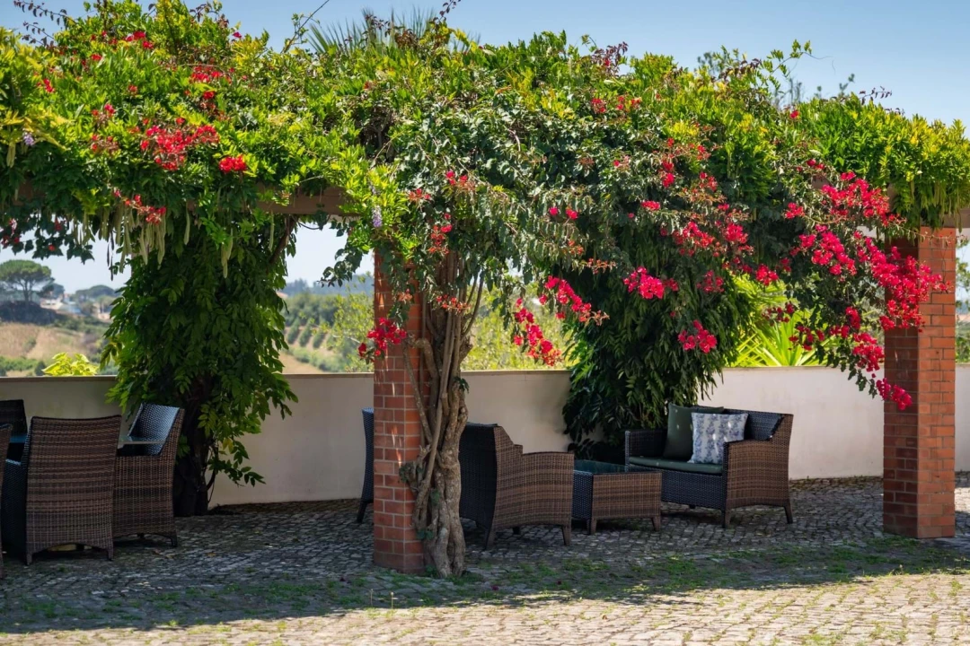 Quinta T10 para Venda em Santa Catarina Foto 19