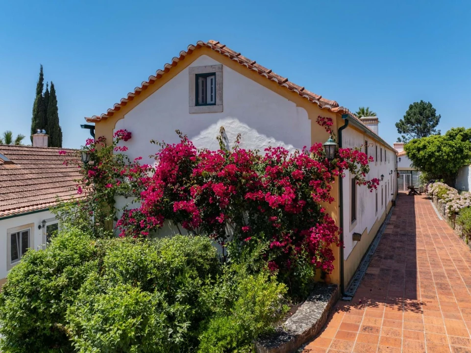 Quinta T10 para Venda em Santa Catarina Foto 3