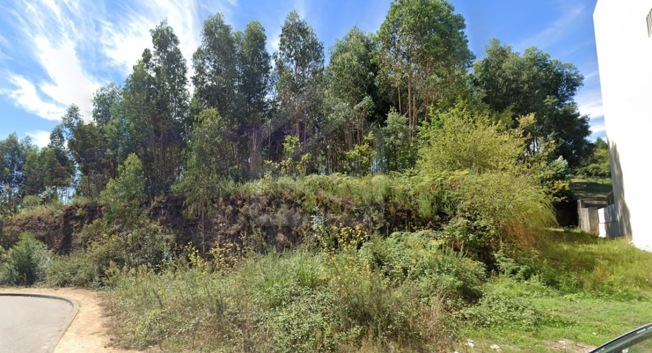 Terreno Agricola ou Rústico para Venda em São João da Madeira Foto 1