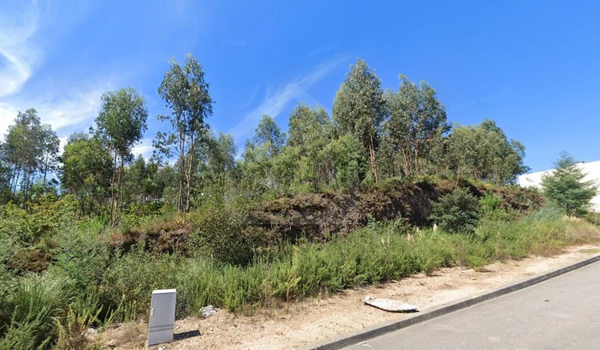 Terreno Agricola ou Rústico para Venda em São João da Madeira Foto 2