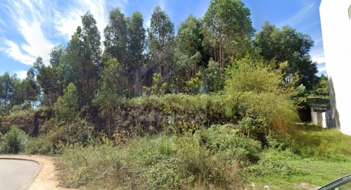 Terreno Agricola ou Rústico para Venda em São João da Madeira