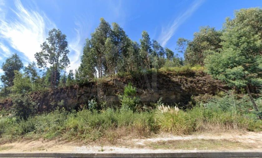 Terreno Agricola ou Rústico para Venda em São João da Madeira Foto 3