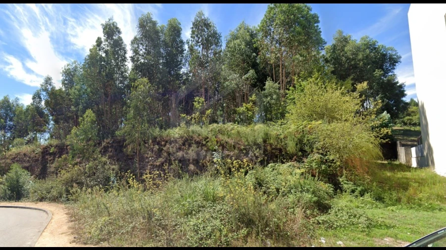 Terreno Agricola ou Rústico para Venda em São João da Madeira