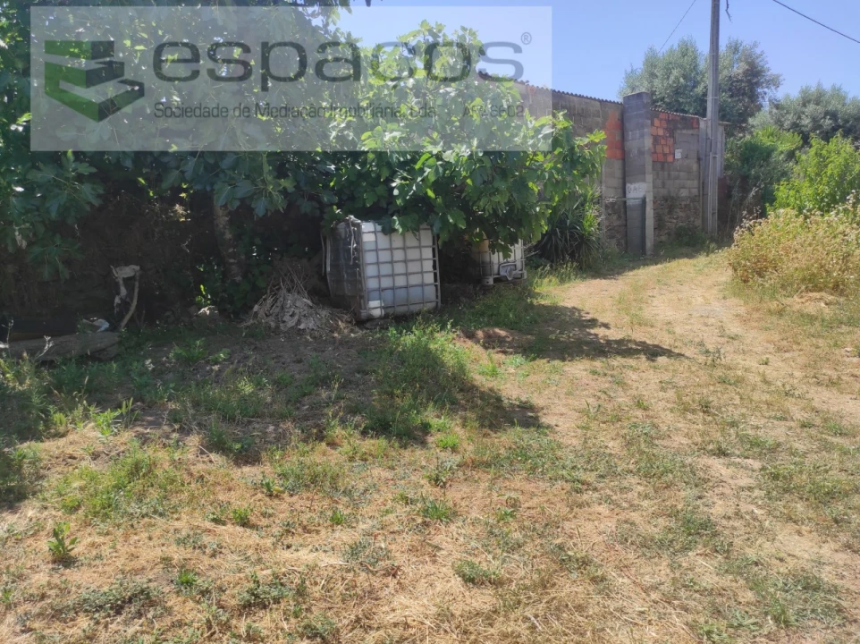 Quinta para Venda em Escalos de Baixo e Mata Foto 1
